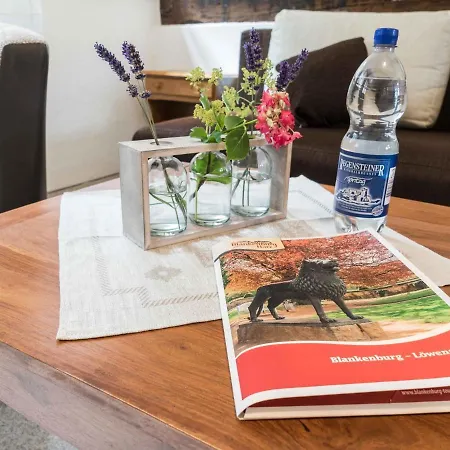 2-person Studio In The Oldest Half-timbered House In With Terrace *